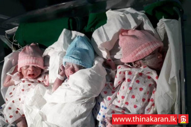 அஷ்ரப் வைத்தியசாலையில் ஒரே சூலில் 3 குழந்தைகள் பிறப்பு-Pottuvil Women Delevers 3 Babies in a Birth-Kalmunai-Ashraff Hospital