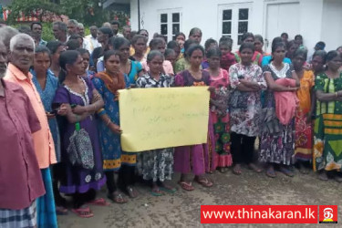 தாக்க முற்பட்டார்; தோட்ட அதிகாரியை இடமாற்றுமாறு வேலை நிறுத்தப் போராட்டம்-Talawakelle Estate Workers Protest