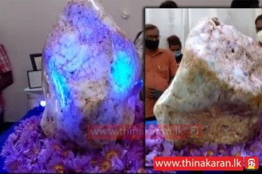 'ஆசியாவின் ராணி' உலகின் மிகப் பெரிய மாணிக்கக்கல் இலங்கையில்-310kg Gem Found In Sri Lanka