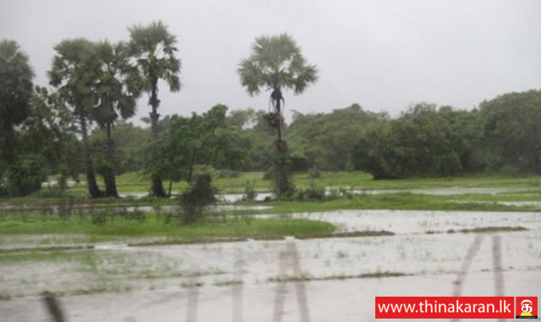 வட மாகாணத்தில் பிற்பகலில் மழைக்கான சாத்தியம்-Weather Forecast-Shower or Thunder Shower in Jaffna-Mullaitivu-Vavuniya-Kilinochchi