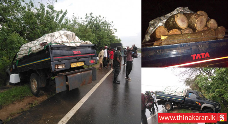 இராணுவத்தினரை மோதிய மரக் கடத்தல் வாகனம் விபத்து-Cab Accident While Transporting Illegal Timber-2 Suspect Escaped