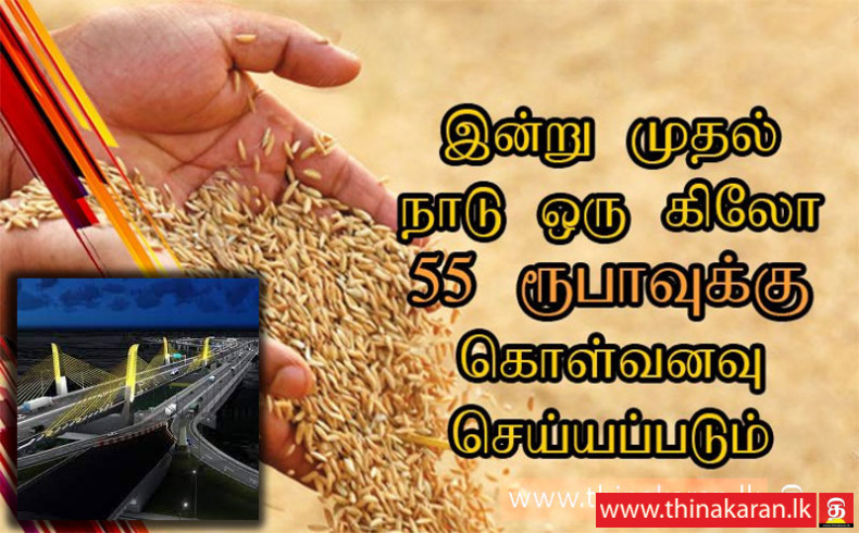 இன்று முதல் நாட்டு நெல் ரூ. 55 இற்கு கொள்வனவு; அரிசி சதொசவிற்கு-8 Cabinet Decisions-Approval to Purchase Nadu Rice Rs 55 Per kg