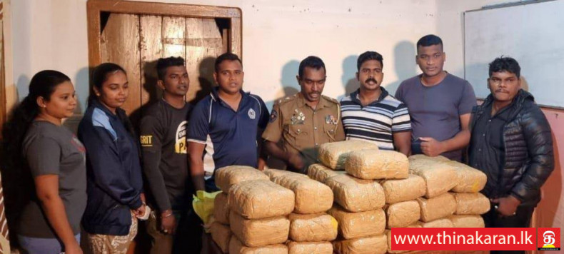 சுமார் 85 கி.கி. கஞ்சாவுடன் தம்பதி கைது-Couple Arrested with 85kg Ganja-Chulipuram Jaffna